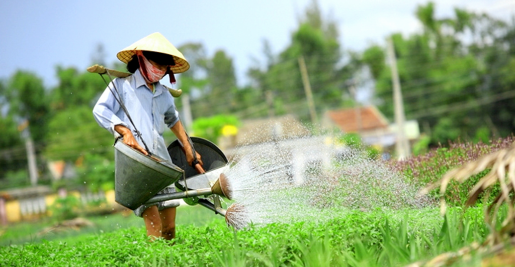 hoi an eco tour