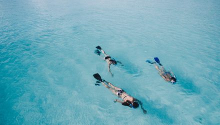 cham islands snorkeling day tour
